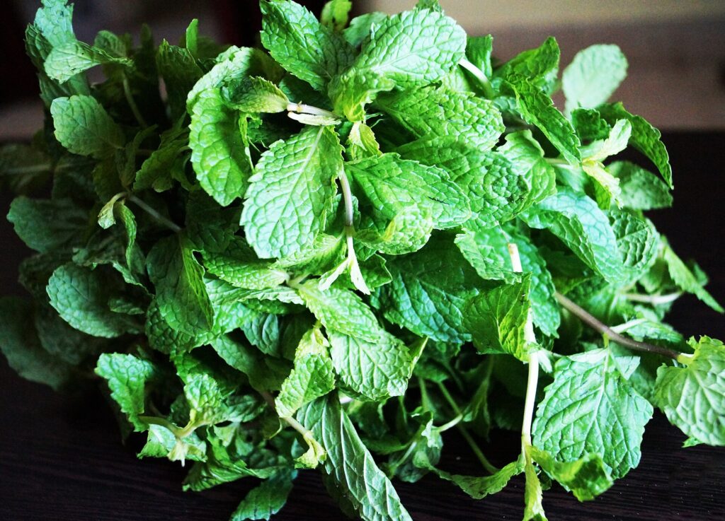 Mint