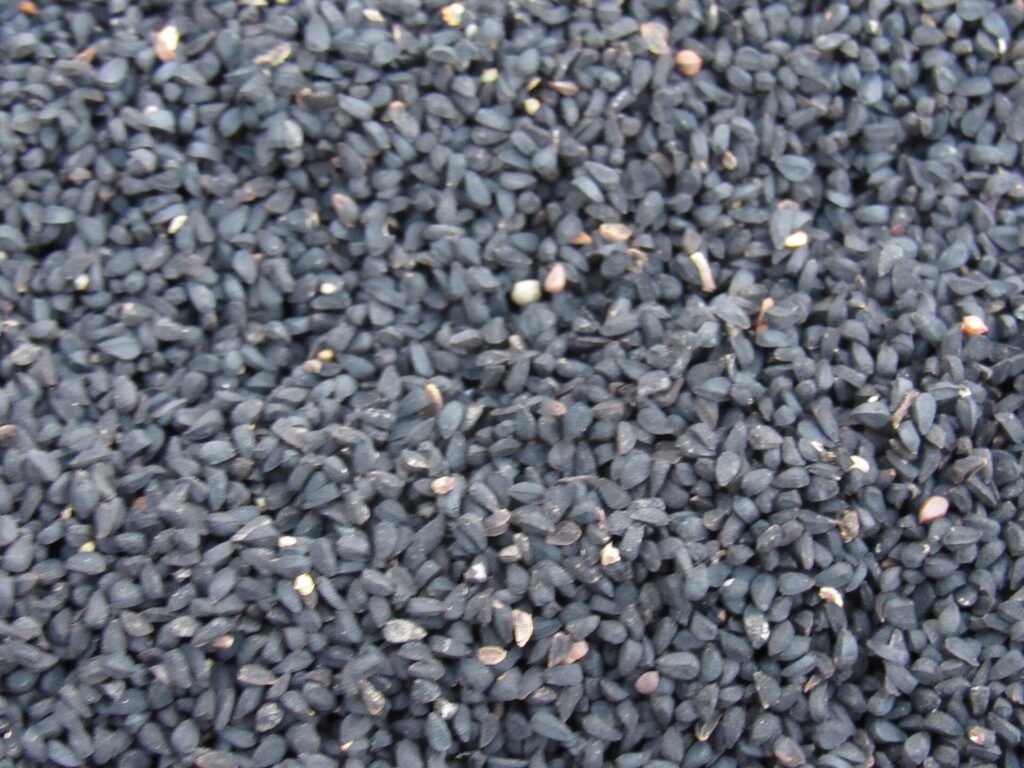 Black seed